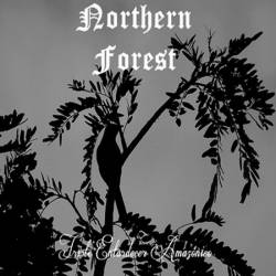 Northern Forest : Triste Entardecer Amazônico